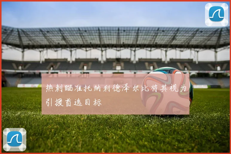 热刺瞄准托纳利德泽尔比将其视为引援首选目标